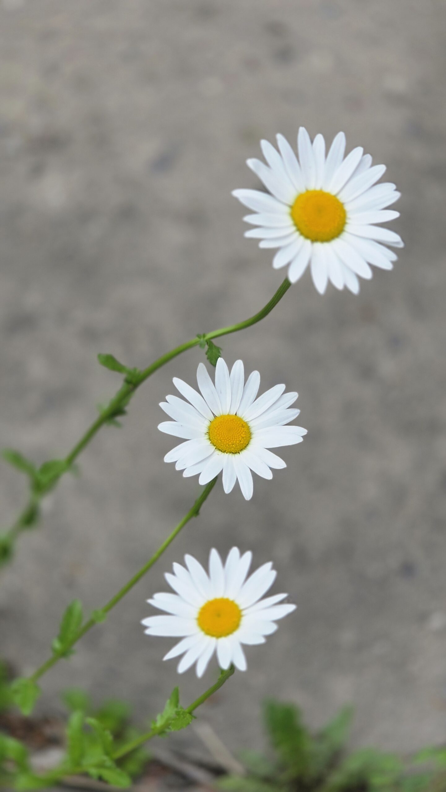 20260609_104357